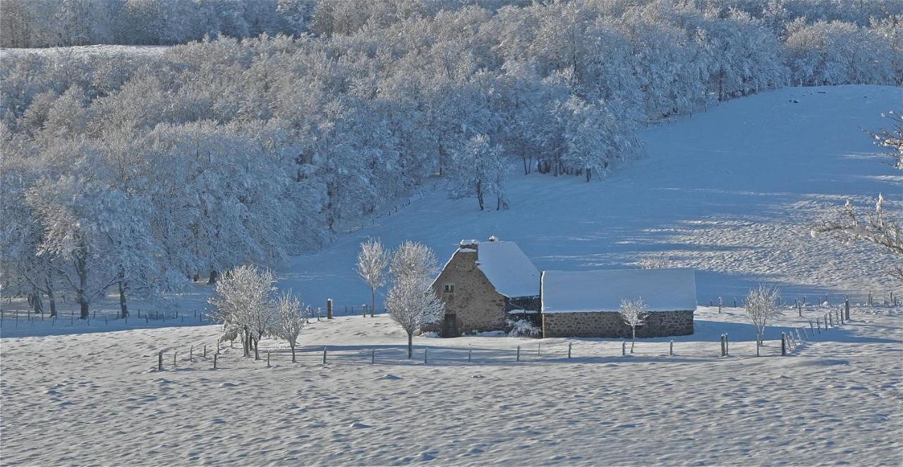 Aux Portes D'Aubrac Studio 2 Personnes Bed & Breakfast Condom-d'Aubrac Eksteriør bilde